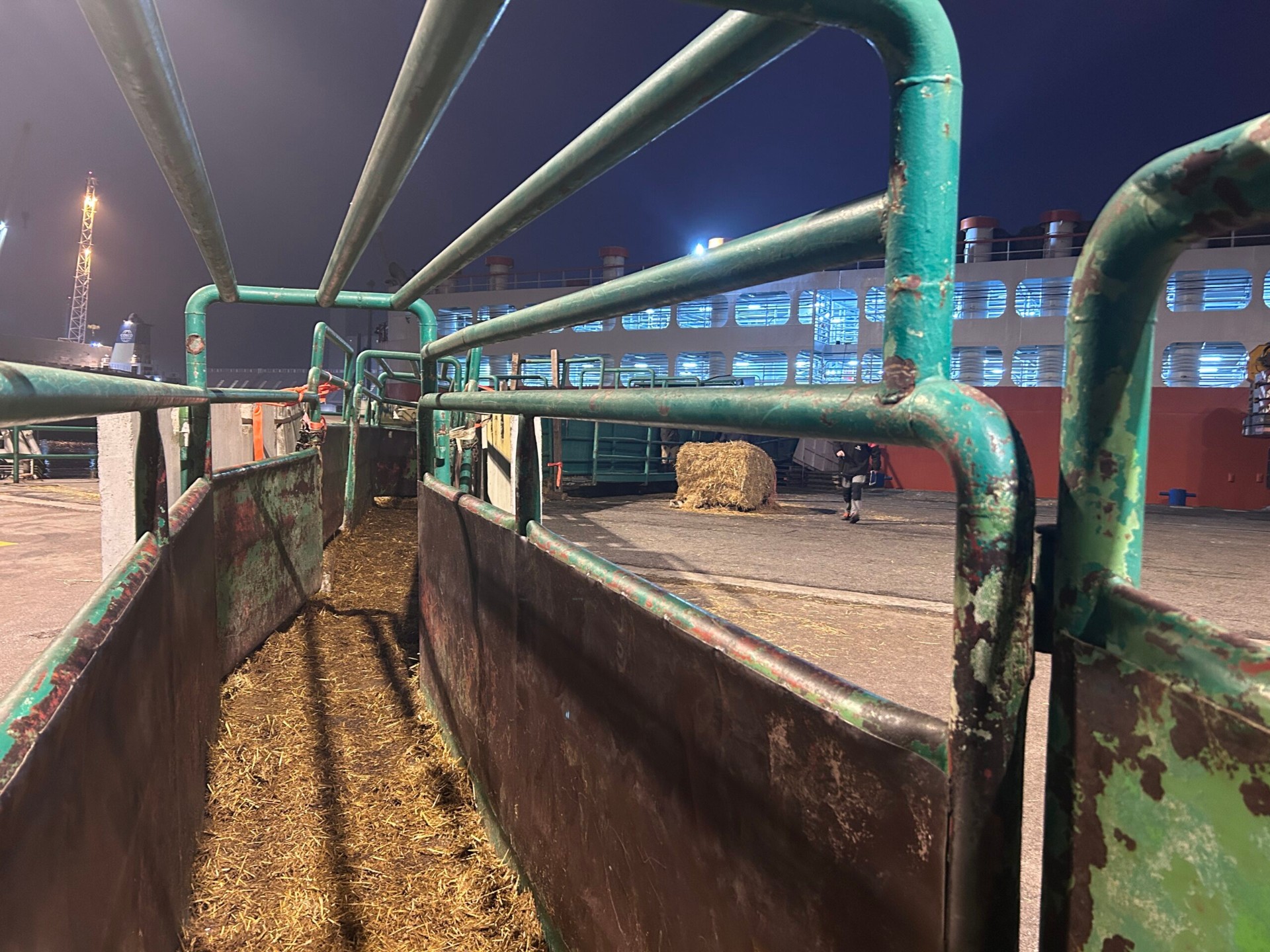 Livestock vessel sea export — Boviterra