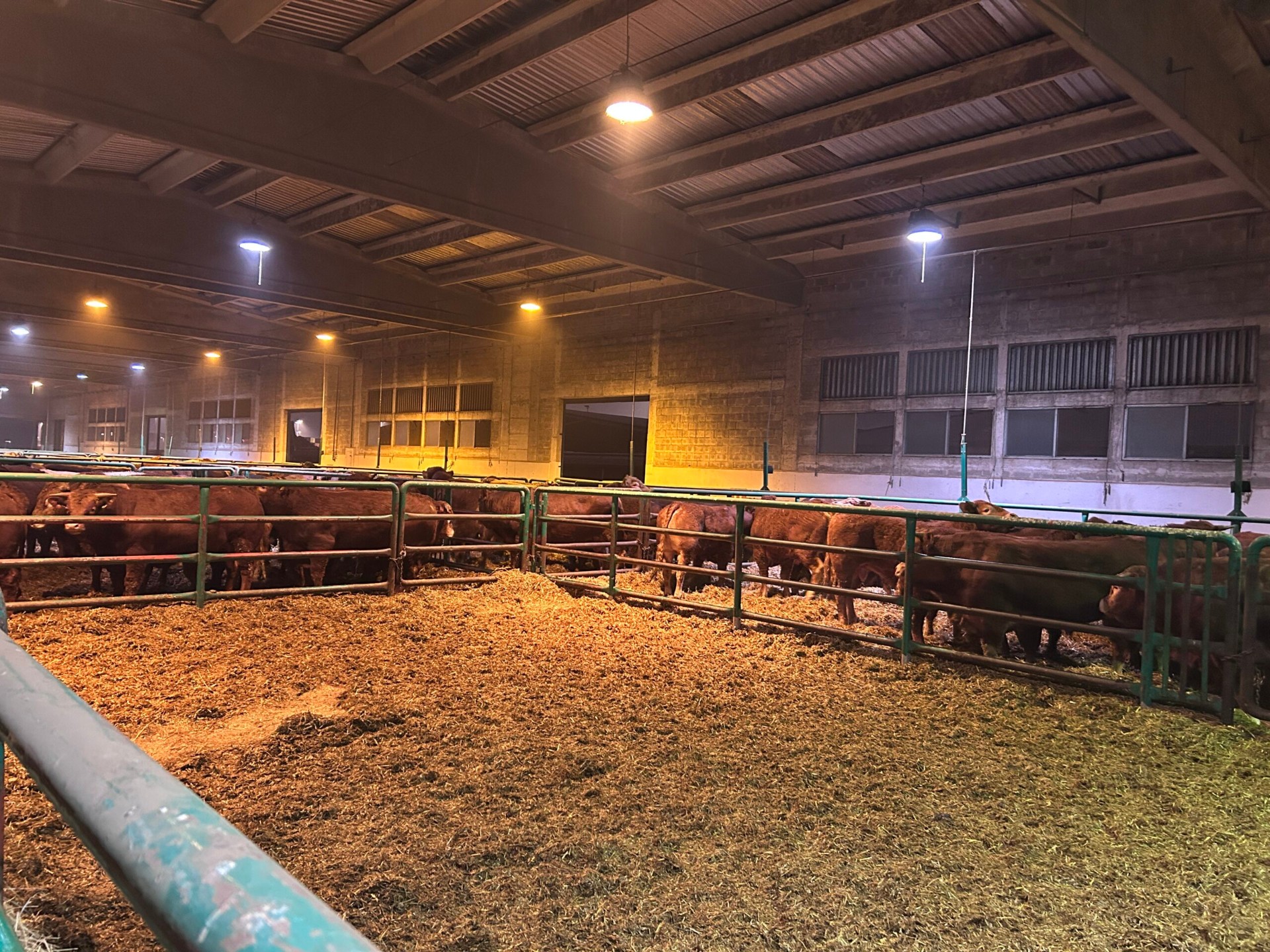 Cattle facility France — Boviterra livestock